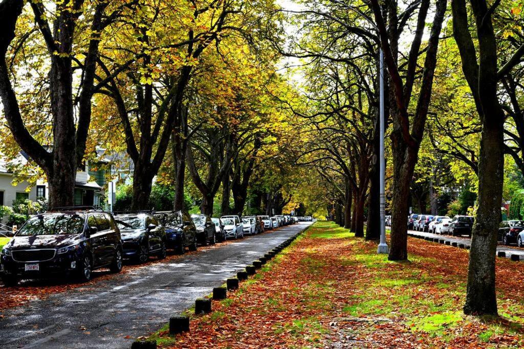 Vila U-District Warmth 8 Mins Walk To Uw Seattle Exteriér fotografie
